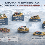КУРОЧКА ПО ЗЕРНЫШКУ: КАК КАЗИНО ОБЛАГАЮТ НАЛОГАМИ В РАЗНЫХ СТРАНАХ